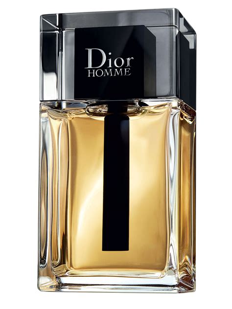 dior homie|dior homme for men.